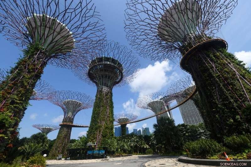 Urban Greening Revolution: Cities Worldwide Transforming Grey Spaces into Green Oases