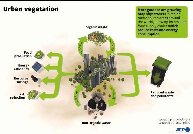 Urban Greening Revolution: Cities Worldwide Transforming Grey Spaces into Green Oases