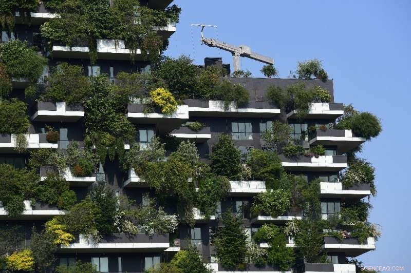 Urban Greening Revolution: Cities Worldwide Transforming Grey Spaces into Green Oases