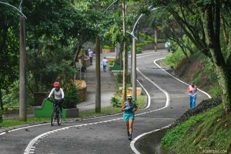 Urban Greening Revolution: Cities Worldwide Transforming Grey Spaces into Green Oases