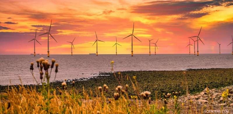 Global Offshore Wind Turbine Count May Reach 30,000 by 2030, Driving Demand for Innovative Ocean Engineering Solutions