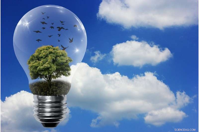 Renewable Energy Storage: Converting Electricity into Stable Molecules for Long-Term Reliability