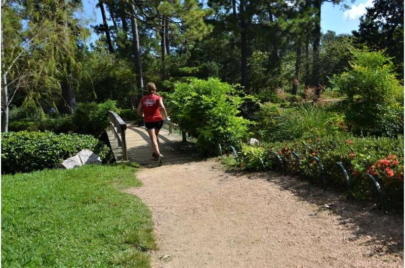 UK Parks Leverage Smart WiSeBox Tech to Monitor Visitor Traffic and Enhance Safety