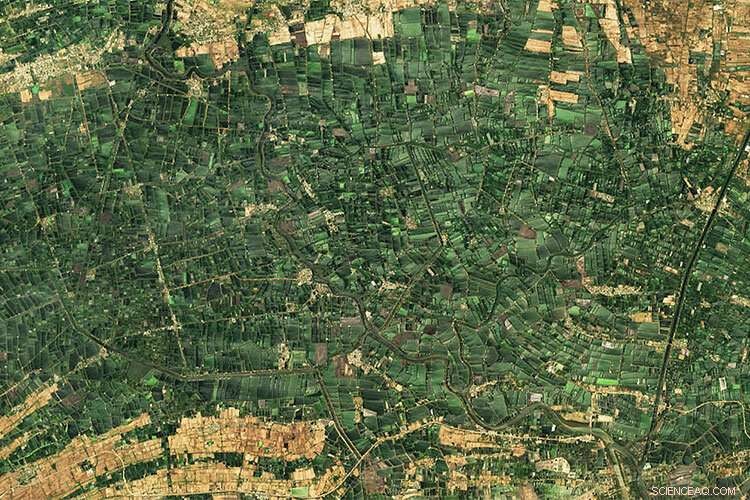 UC Berkeley s Machine Learning Breakthrough: Easy, Low-Cost Satellite Image Analysis for Human Welfare