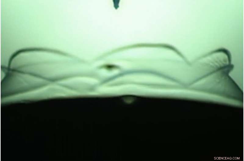 Blooming Bubbles: High-Speed Camera Captures Viscoelastic Bubble Dynamics