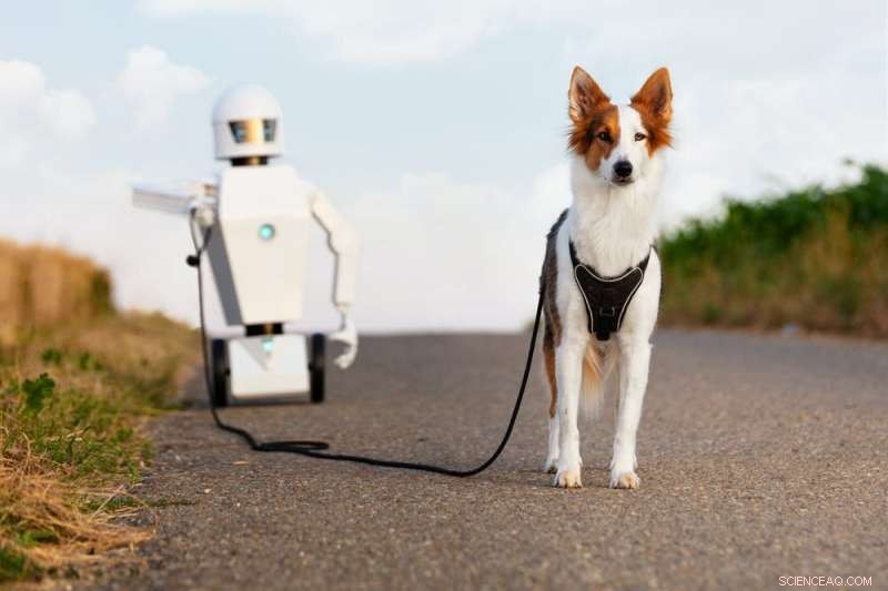 Robots as Service Animals: Enhancing Pet Care & Companion Support