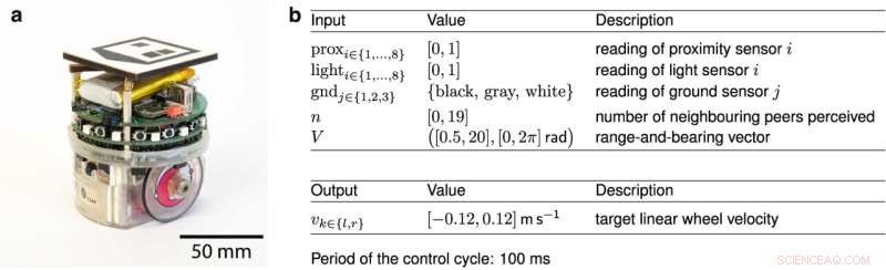 Neuro-evolutionary Robotics: Bridging the Gap Between Simulation and Real-World Application
