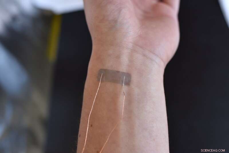 Bio-Inspired Strain Sensors: Wearable Technology with Enhanced Sensitivity