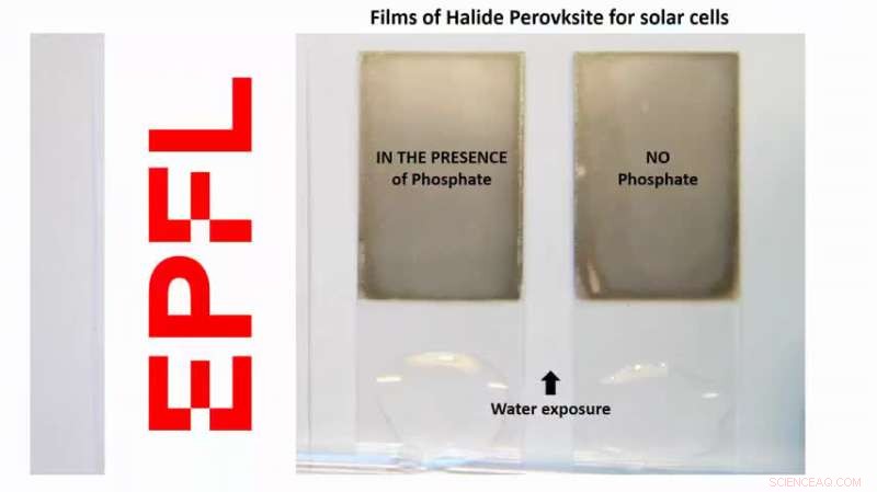 Lead-Free Perovskite Solar Cells: A Breakthrough in Sustainable Energy