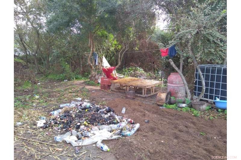 University-Led Consortium Uses Satellite Tech to Combat Modern Slavery in Greek Strawberry Fields