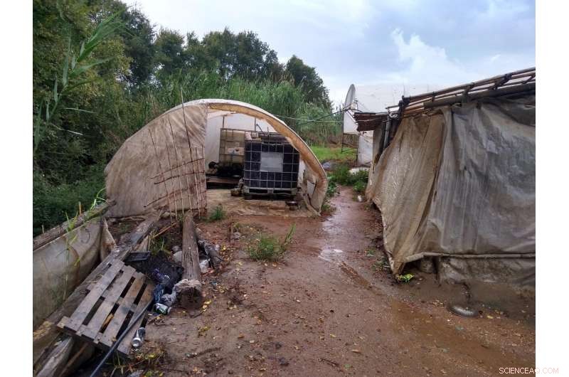 University-Led Consortium Uses Satellite Tech to Combat Modern Slavery in Greek Strawberry Fields