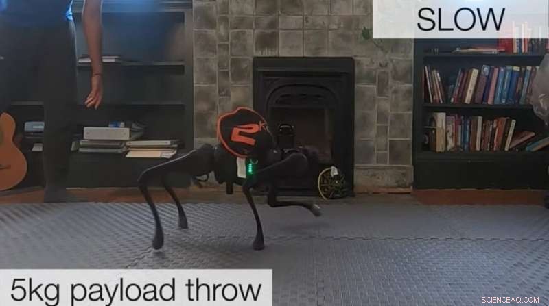 AI Breakthrough: Robots Adapt Instantly to Any Terrain with New Motor System