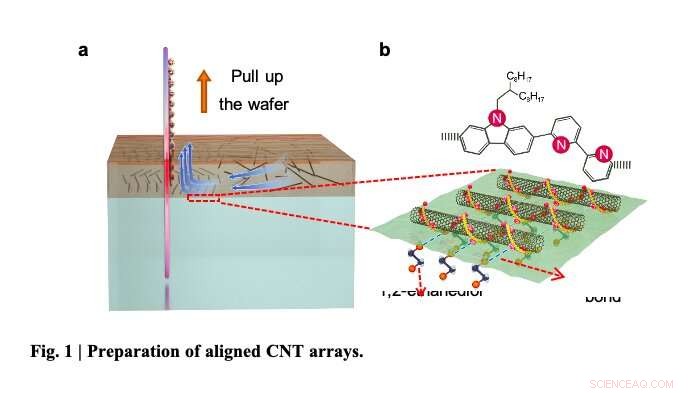 Next-Generation Radiofrequency Transistors Using High-Purity Carbon Nanotube Arrays