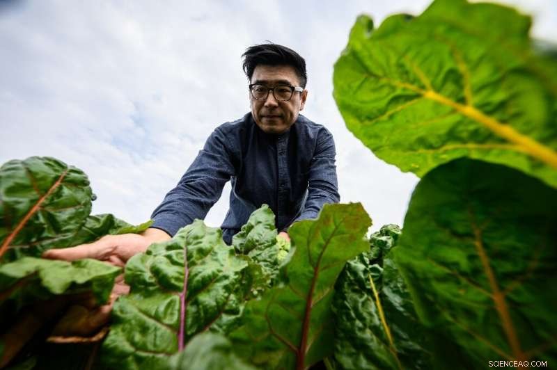 Hong Kong s Rooftop Farms: Greening the Skyline with Urban Agriculture