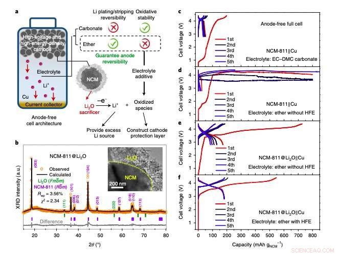 Breakthrough Anode-Free Lithium Battery: High Energy Density and Extended Lifespan via Advanced Cathode and Electrolyte Design