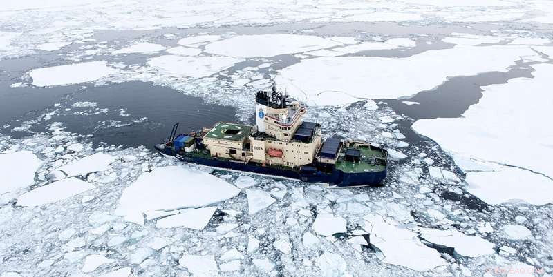 AI-Driven Sea Ice Identification: Enhancing Arctic Maritime Safety