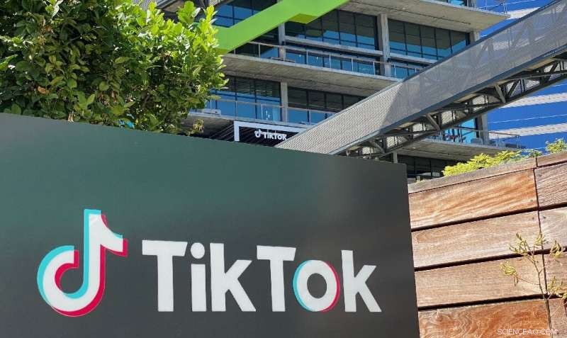 TikTok Launches Video Resume Platform to Address US Hiring Challenges