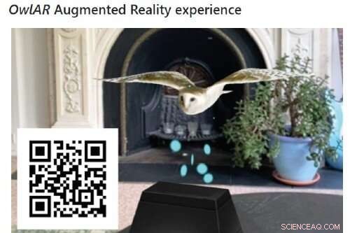 Can Planes Learn from Birds? Explore OwlAR s Wind Gust Experiment