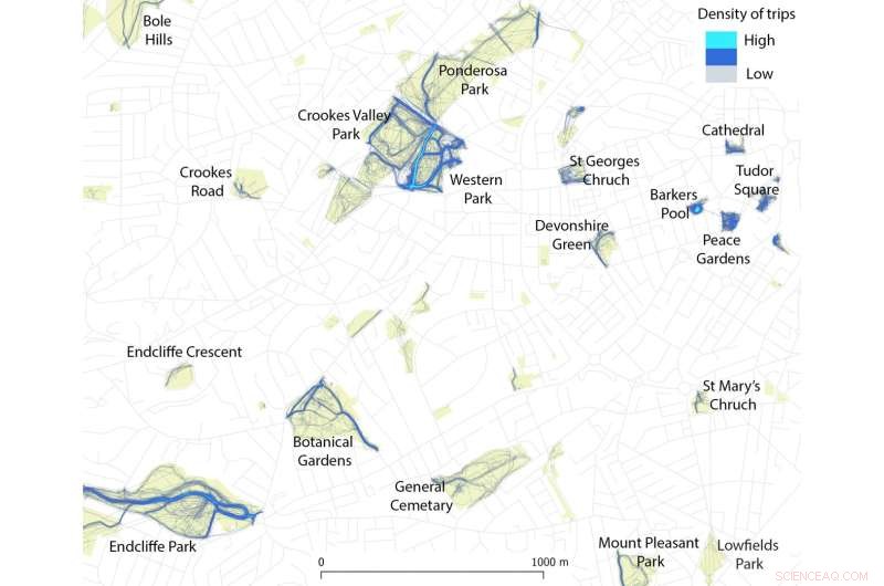 Cellphone GPS Data Reveals Urban Greenspace Usage Patterns in Sheffield, UK