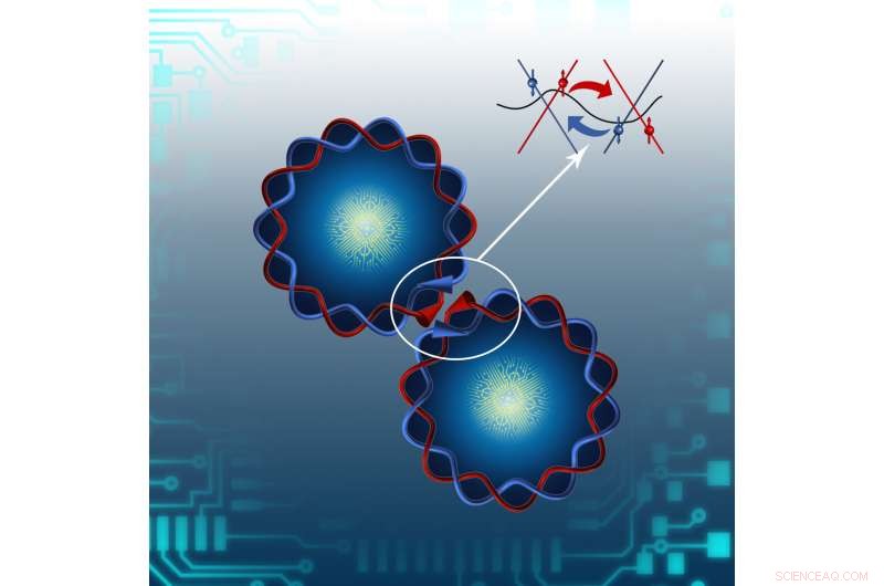 1D Coulomb Drag in QSH Edges: Air-Gap Separation Discovery for Nanoelectronic Advancement