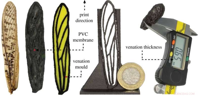Breakthrough in Drone Wings: 3D-Printed Locust-Inspired Design for Advanced Flight