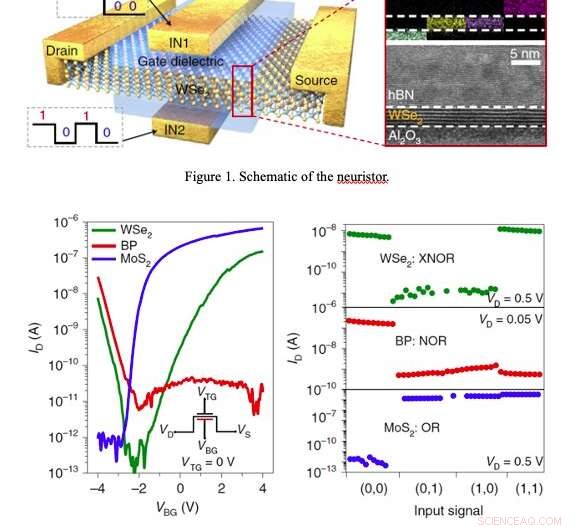 Breakthrough: 2D Material Neuristors Enable Efficient Single-Device Logic Gates