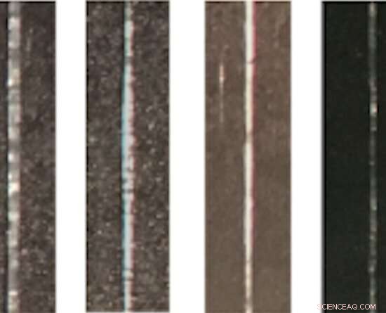 Revolutionizing Soft Robotics with Tunable Collagen Biohybrids