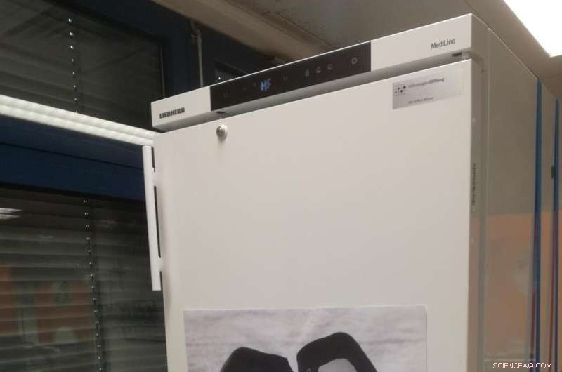 Solar Hydrogen for Antarctica: The Thermally Coupled Advantage