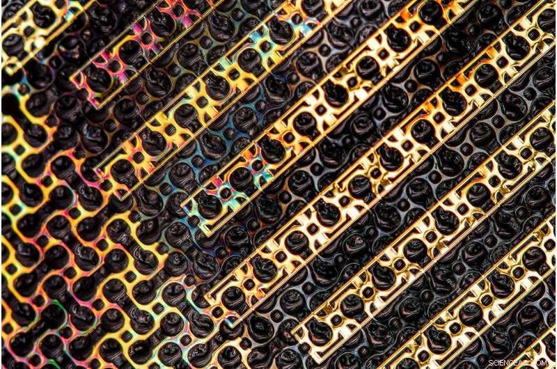 MIT s Sweat-Proof Electronic Skin: Reliable Health Monitoring During Workouts and Meals