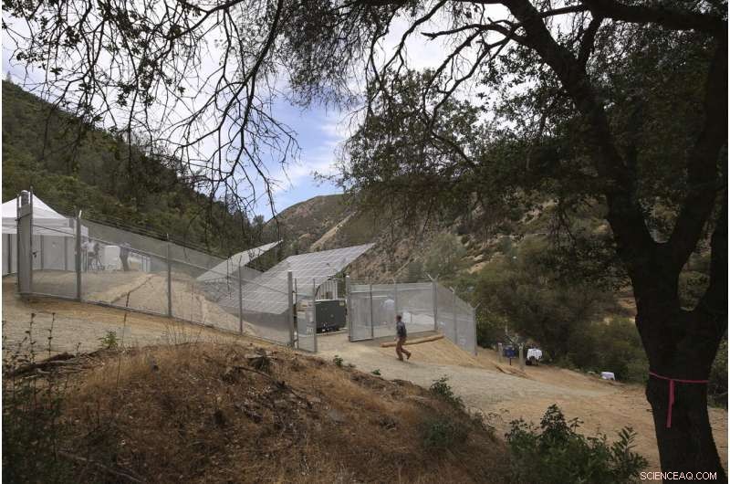 California Deploys Solar Microgrids to Ensure Power Resilience During Outages