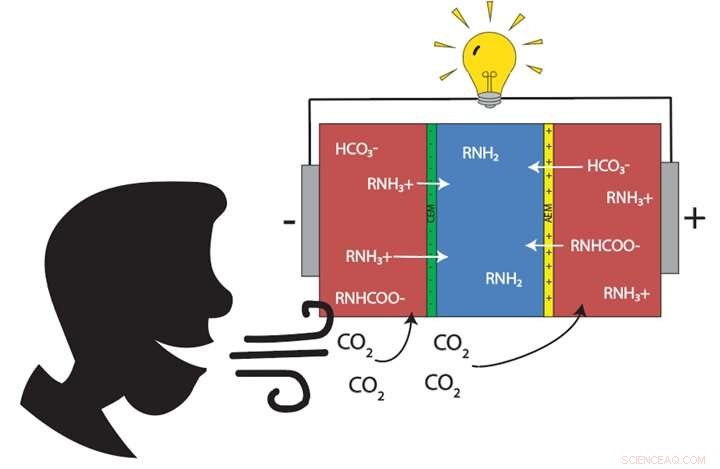 Bio-Inspired Paper-Gel Electronics: A Sustainable Leap in Implantable Technology