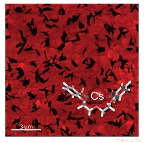 EPFL s Crown Ether Innovation Enhances Perovskite Solar Cell Stability and Reduces Lead Emissions