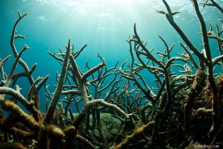 Canada Must Evaluate Solar Geoengineering Risks and Benefits Prior to Climate Intervention