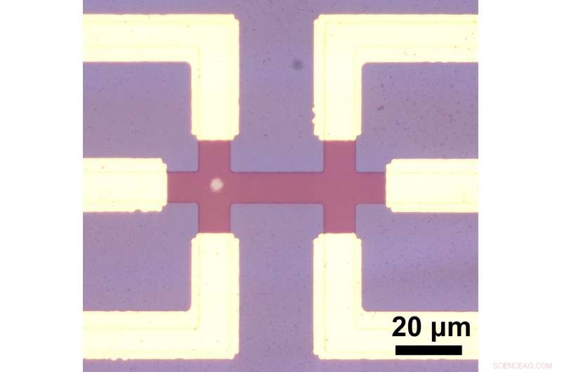 Breakthrough Antiferromagnetic Memory Device Enhances AI Computing Speed and Addresses Core Scientific Questions