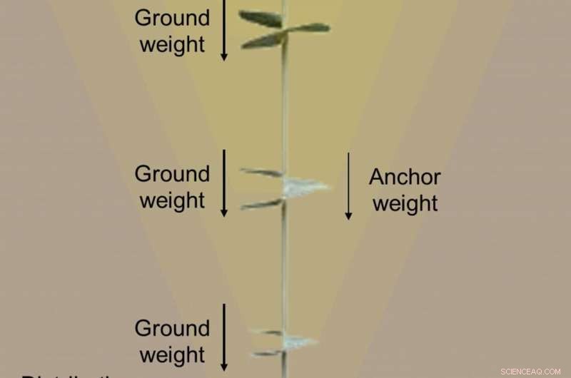 Buoyancy Energy Storage: Innovative Solution Using Pipes and Anchors