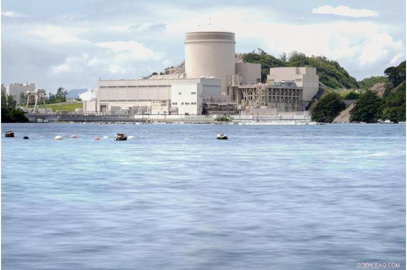 Japan Restarts Aging Mihama Nuclear Reactor After Decade-Long Hiatus