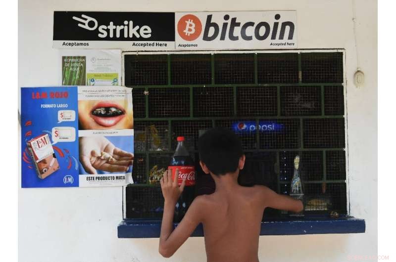 El Salvador s Bitcoin Legal Tender: A Critical Analysis of Risks and Opportunities