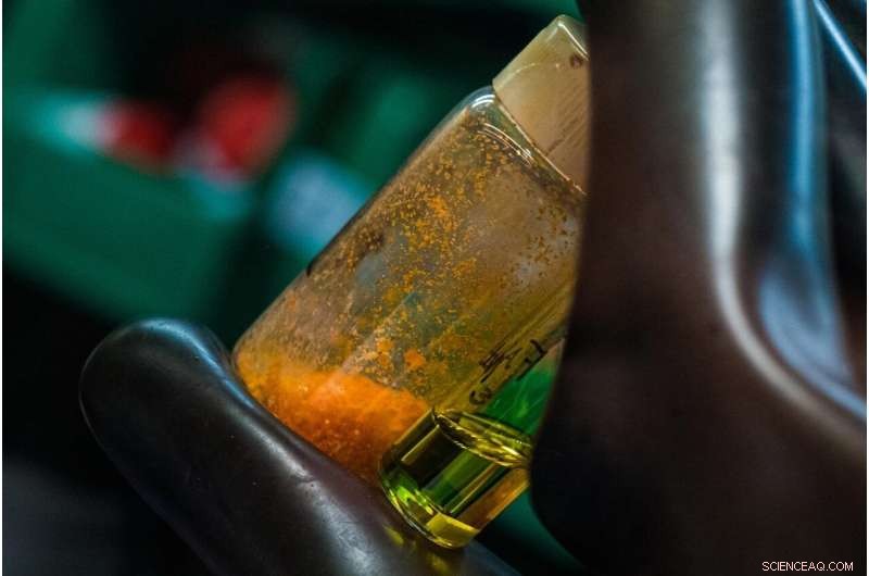 Rice University Engineers Harness Perovskite Seeds for High-Efficiency Solar Energy Collectors