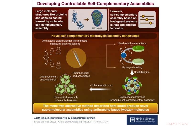Engineering Self-Complementary Macrocycles: Insights from Ingenious Molecular Assemblies