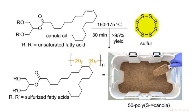 Breakthrough Magnetic Polymer from Recycled Waste for Water Purification and Sustainable Construction