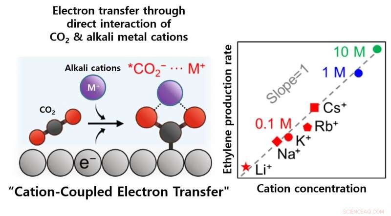 Eco-Friendly Ethylene Production via Cation-Coupled Electron Transfer