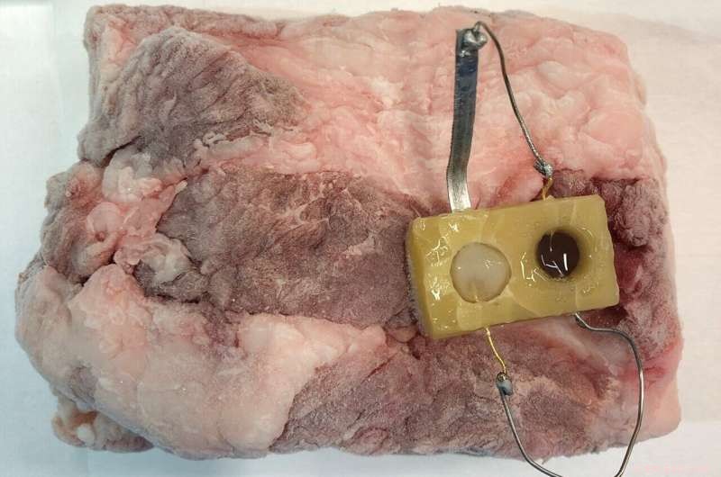 Edible Sensor Detects Thawing History in Frozen Foods with Color Change