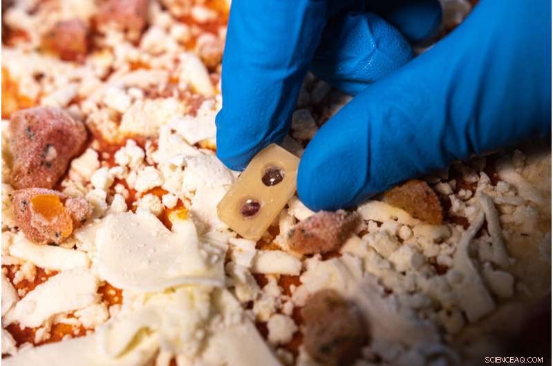 Edible Sensor Detects Thawing History in Frozen Foods with Color Change