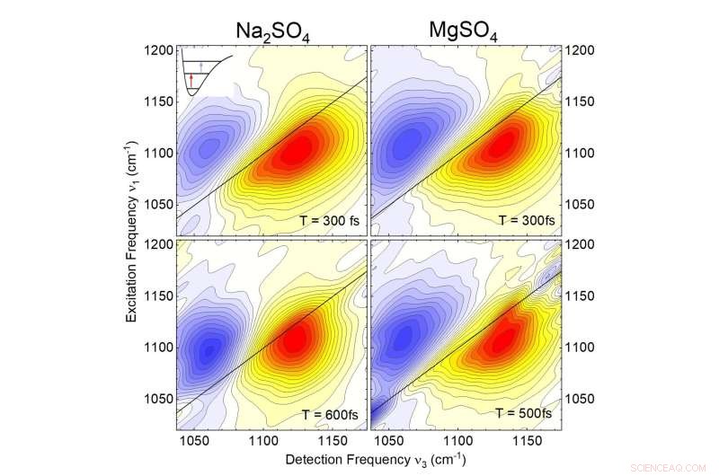 Study Reveals Magnesium Ions Slow Water Dynamics at Microscopic Scales