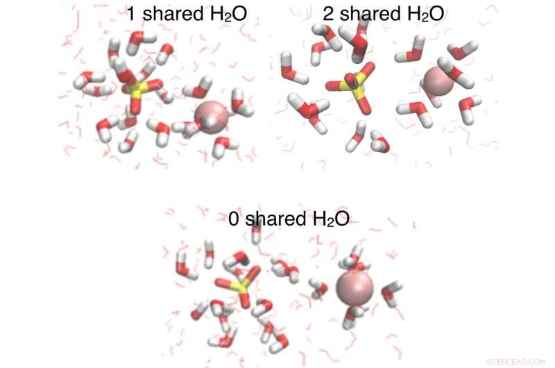 Study Reveals Magnesium Ions Slow Water Dynamics at Microscopic Scales
