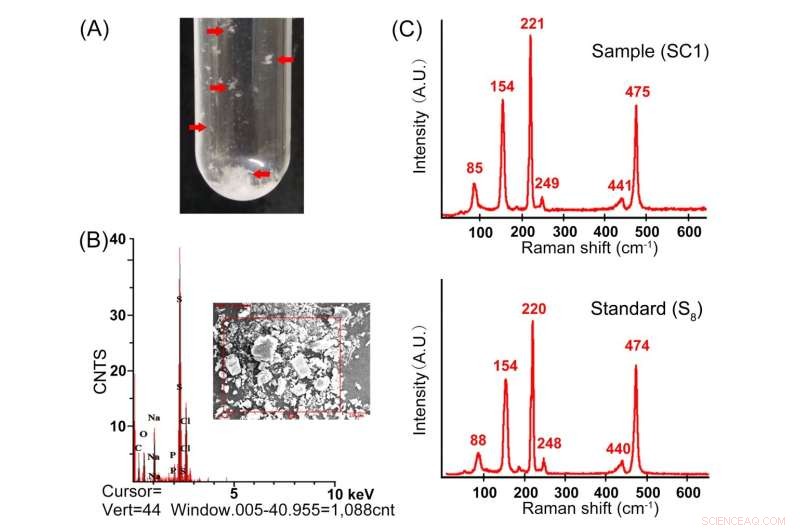 Discovery of a Novel Zero-Valent Sulfur Production Pathway in Deep-Sea Bacterium
