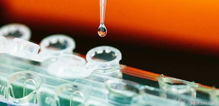 UHRF1 Activation Mechanism Discovered: A Breakthrough for Cancer Drug Development