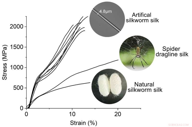 Scientists Create Re-spun Silkworm Silk 70% Stronger Than Spider Silk