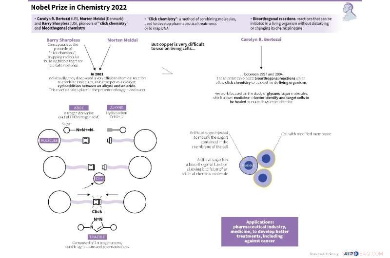 2022 Nobel Prize in Chemistry: Pioneering Research for Cancer Treatment Advances