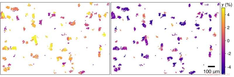Breakthrough in Material Science: Erasing Deformation Memory in Everyday Solids